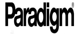 合作伙伴：PARADIGM
